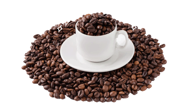 Coffee bean